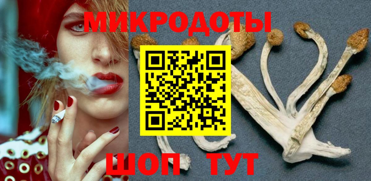 Псилоцибиновые грибы мицелий Ижевск
