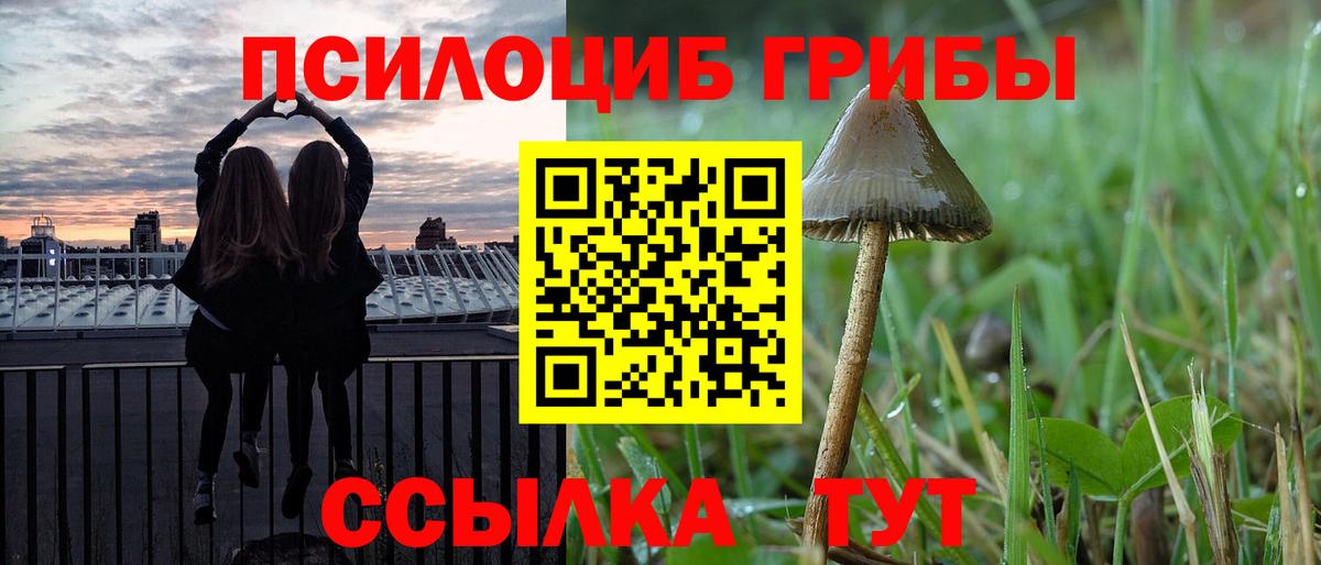 Галлюциногенные грибы Cubensis  Вход с VPN  Ижевск  Галлюциногенные грибы Psilocybe 