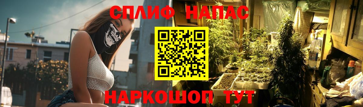 Шишки марихуана план  Бошки Шишки тримм  Ижевск  Вход с VPN 
